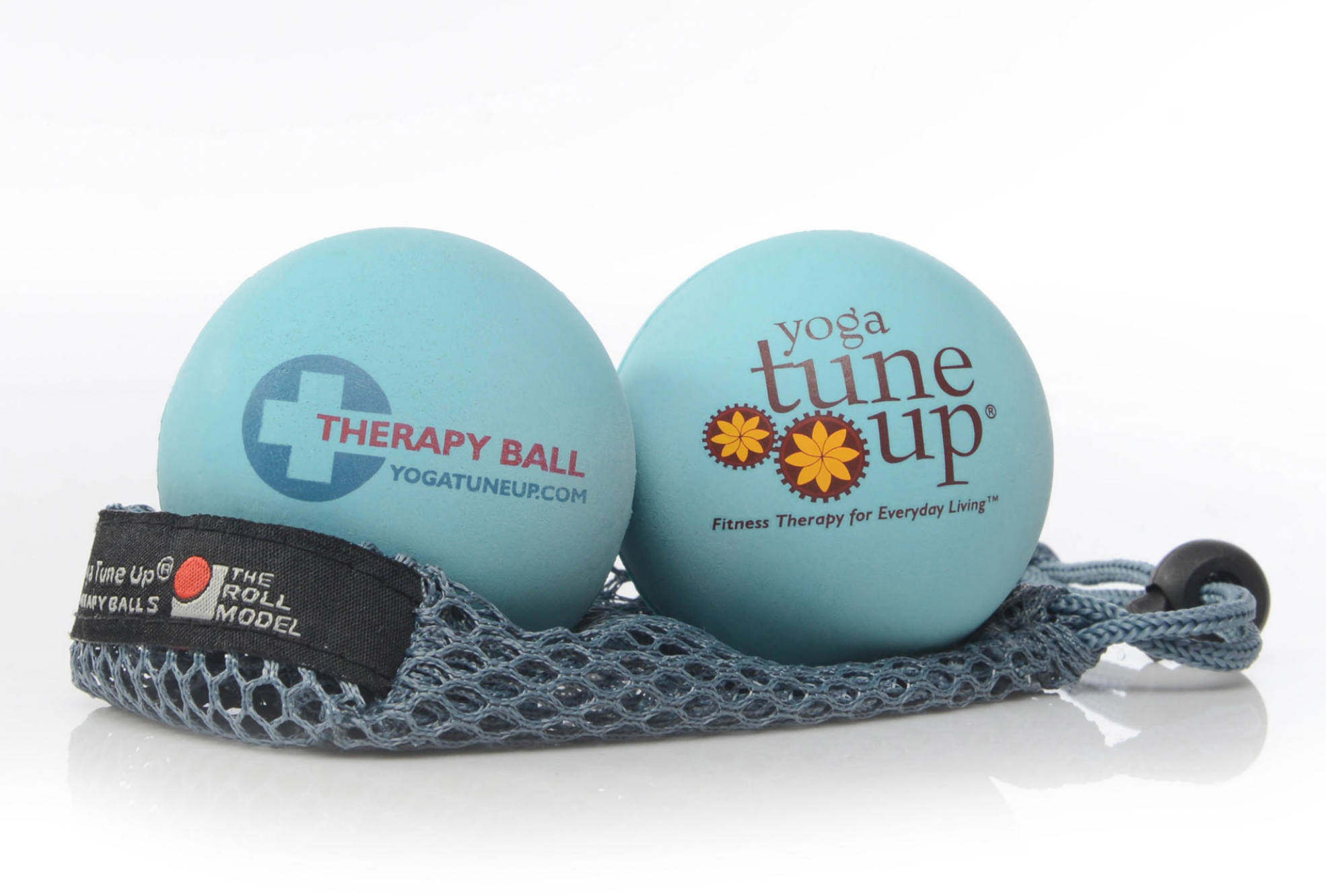 ロールモデルYTUオリジナルペアトート入り – Yoga Tune Up Japan